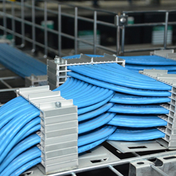 ���w�����aƷ1