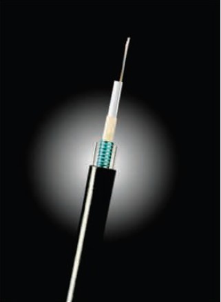 �L�w���|-12о