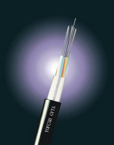 �L�wGYTA�p�P���|