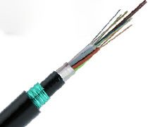 36оGYTA53������|